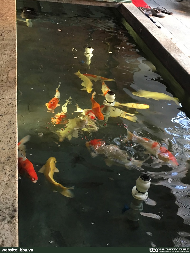 Thi Cong Xay Dung Biet Thu Pho Hien Dai 4 Tang Conic 22