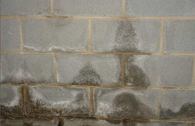 Chong Tham Khi Xay Nha 5