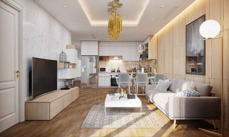 Mau Thiet Ke Phong Khach Nha Ong 4m 5m Hien Dai Dep 8