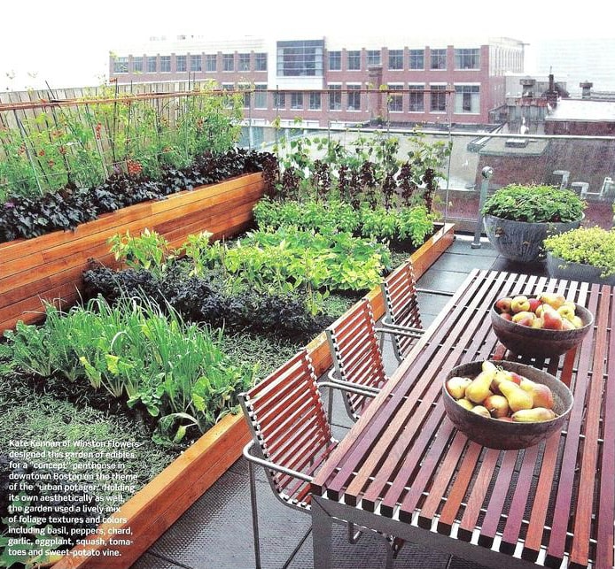 Trong Rau Sach Cay An Qia Tren San Thuong 3