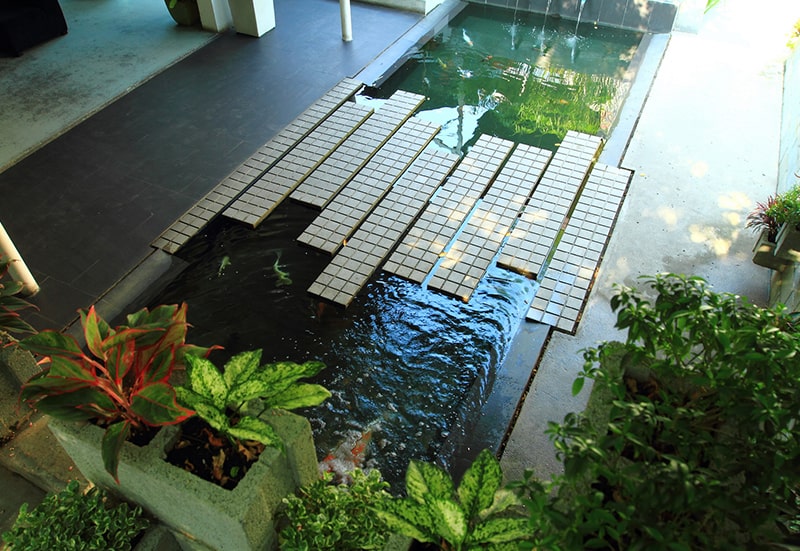 Thiet Ke Ho Va Vuon Nha O 2