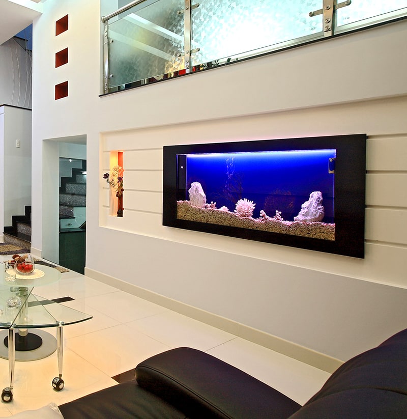 Thiet Ke Ho Va Vuon Nha O 3