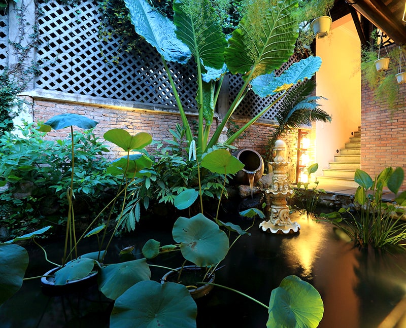 Thiet Ke Ho Va Vuon Nha O 4