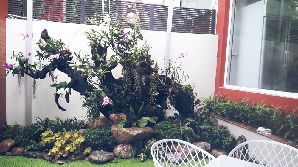 Cải tạo quán cafe Greenfield