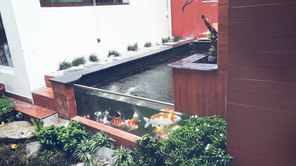 Cải tạo quán cafe Greenfield